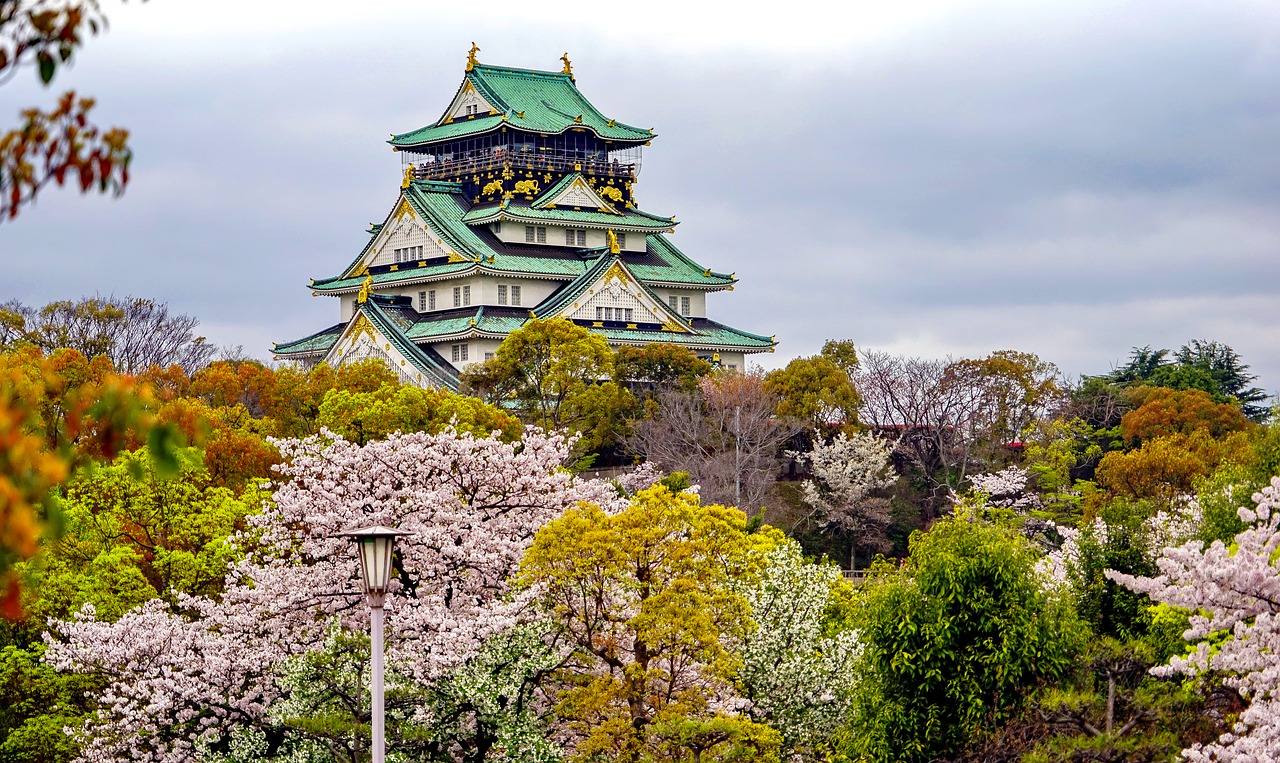 大兴追寻梦想的起点：为何选择高考后去日本留学？